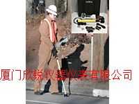 MGD-2002英国雷迪多种气体泄露探测仪MGD-2002,厦门欣锐仪器仪表有限公司
