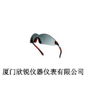 代尔塔安全眼镜101116,厦门欣锐仪器仪表有限公司