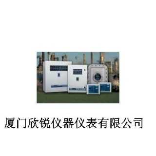 MSA梅思安9010/9020控制器,厦门欣锐仪器仪表有限公司