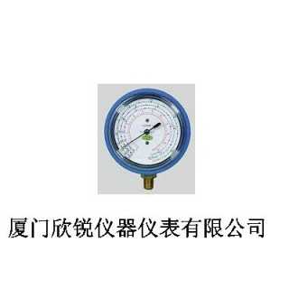 复合计量表头PM2-200-M-R600a,厦门欣锐仪器仪表有限公司