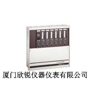 V-810系列固定式显示器,厦门欣锐仪器仪表有限公司