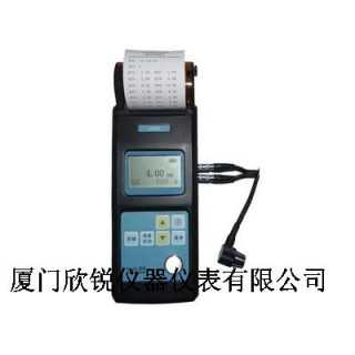 LDT301超声波测厚仪,厦门欣锐仪器仪表有限公司