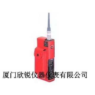 XP-703D半导体材料气体泄漏检测仪,厦门欣锐仪器仪表有限公司