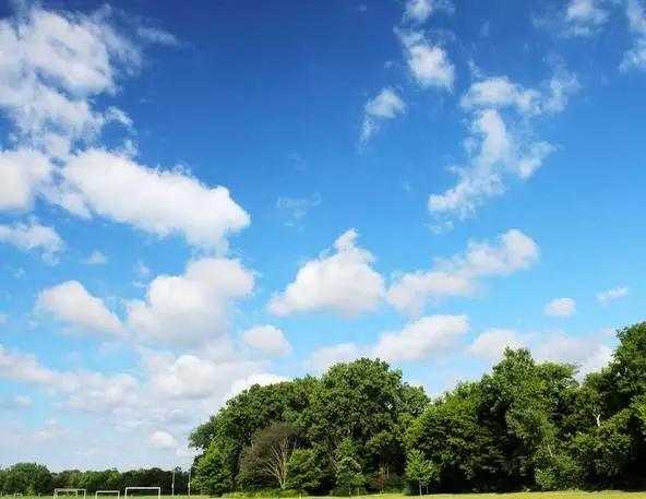 640.webp (3)