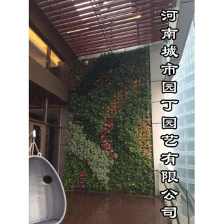 河南城市园丁园艺有限公司_郑州垂直植物墙制作价格/图片,河南城市园丁园艺有限公司