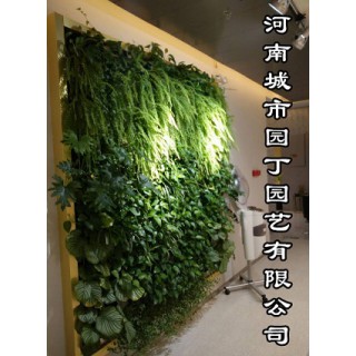 河南城市园丁园艺有限公司 室内郑州垂直植物墙制作(绿植墙) ,郑州市金水区杨金路牛顿国际A座13楼