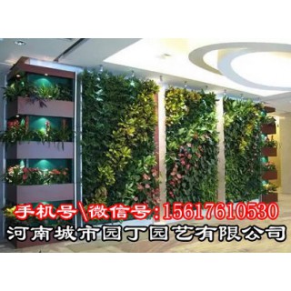 郑州护坡垂直绿化-河南郑州垂直植物墙制作|围挡立体,郑州市金水区杨金路牛顿国际A座13楼